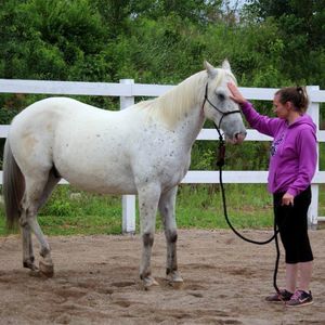 Meet your Posher, Ashley